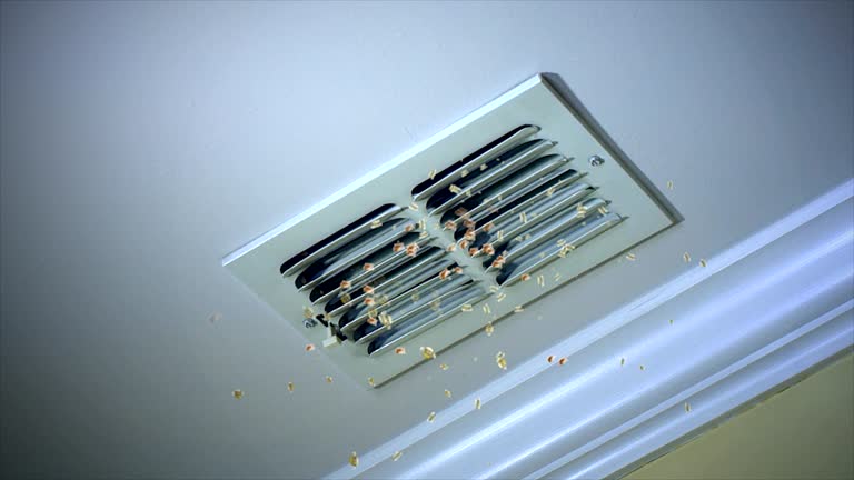 Best Duct Cleaning for Homes  in Bicknell, IN